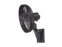 Variant Feature Media